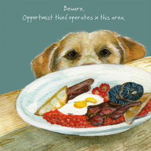 Opportunist Card