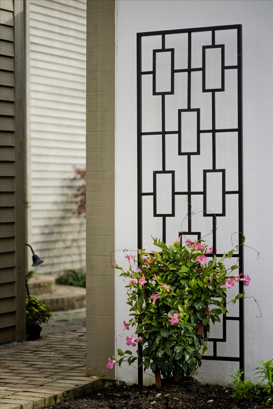 Contemporary Trellis